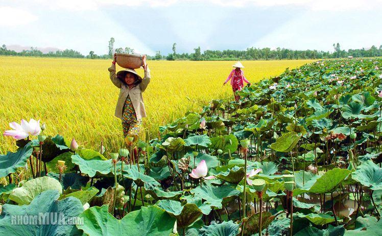 Mekong Way Homestay Кай Бе Екстериор снимка