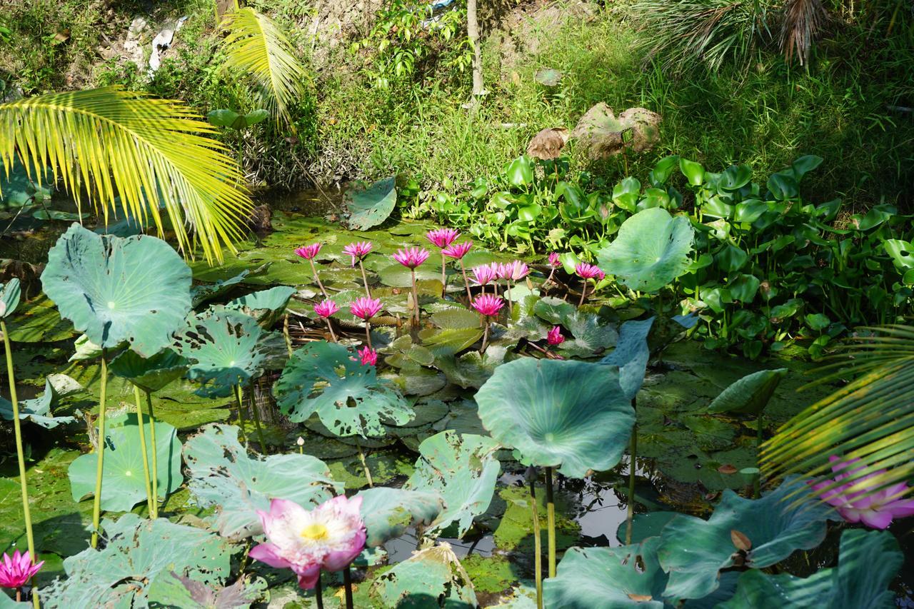 Mekong Way Homestay Кай Бе Екстериор снимка